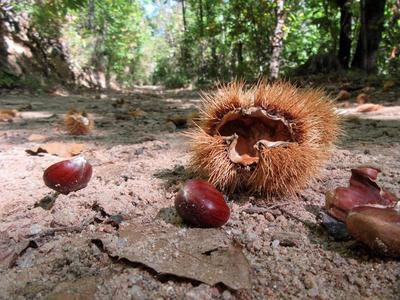 Join us to help us understand how nature works!