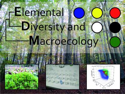 Elemental Diversity and Macroecology research team
