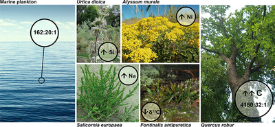 How are the concentration of these elements influencing ecosystem functioning? Help us discover that!